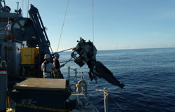 Dam / Reservoir IRM, Deep Ocean Search & Recovery, Engineering, Inland / Infrastructure Diving, Offshore Oil & Gas IRM, Offshore Wind Farm Support, Seabed Survey, Ship Repair & Maintenance, Submarine Rescue | Miluc International Holdings, Inc., a ISO 9001:2015 Management System certified marine services contractor providing worldwide manned and unmanned underwater operations